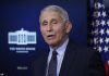 Dr Fauci, le plus grand expert américain en coronavirus, salue le succès de l’Australie Le Dr Fauci (photo), qui a été rejoint par le médecin-chef Paul Kelly dans une discussion en ligne mercredi matin, a déclaré que l'Australie s'était bien comportée pendant la pandémie par rapport à d'autres pays.